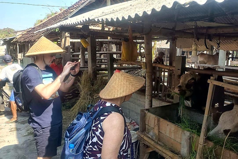 Yogyakarta: Cooking Class & Countryside Bike Tour with Lunch