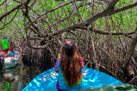 Madu River Boat Safari & Traditional Mask Workshop Visit Pick-up From: Hikkaduwa