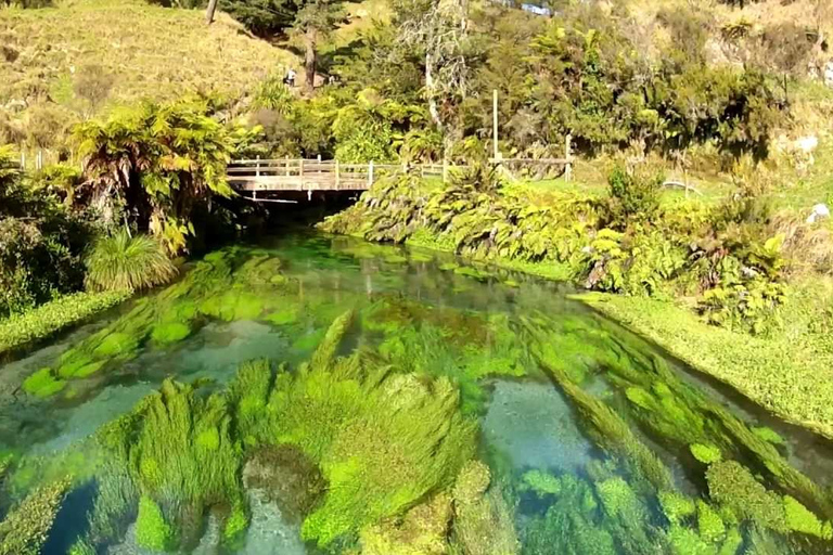 LOTR Tour) Wioska Hobbiton z Błękitnym Źródłem