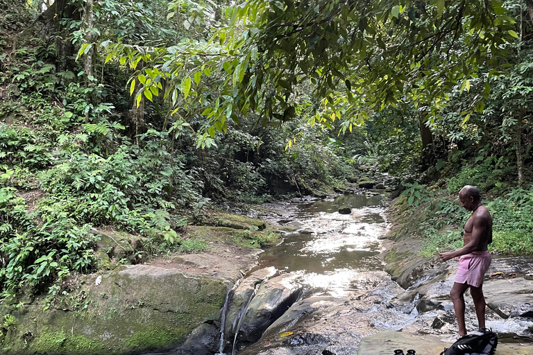 Puerto Viejo Talamanca: Quad Tour with 2 Waterfalls