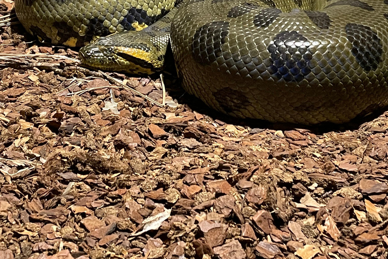 Bergen: toegangsbewijs voor het aquarium en rondleidingEntry Ticket and fish guiding with Nordic fish species