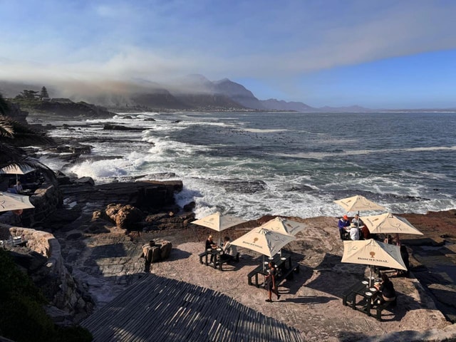 Hermanus: Whale Watching Tour with Penguin Colony Visit