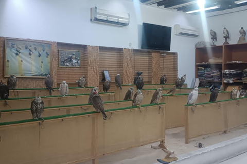 Tour pelos destaques de Doha com guia de turismo que fala alemãoTour pelos pontos turísticos de Doha com guia de turismo que fala alemão