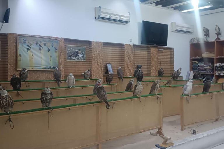 Tour pelos destaques de Doha com guia de turismo que fala alemãoTour pelos pontos turísticos de Doha com guia de turismo que fala alemão