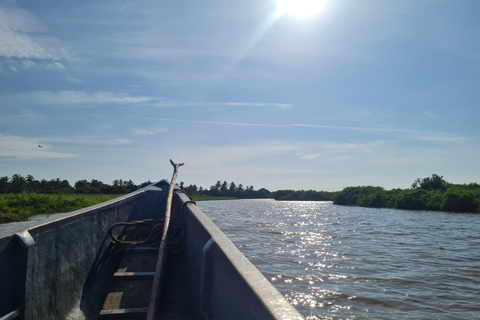 Get to know the beauty of the Salamanca Island's Lathe Swamp