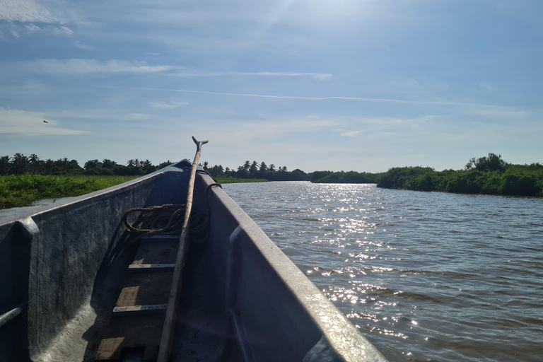 Odkryj piękno bagien Lathe na wyspie Salamanca