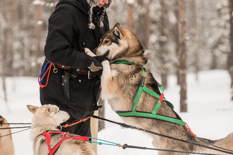 Snowy Trails Husky Safari (5 Km)