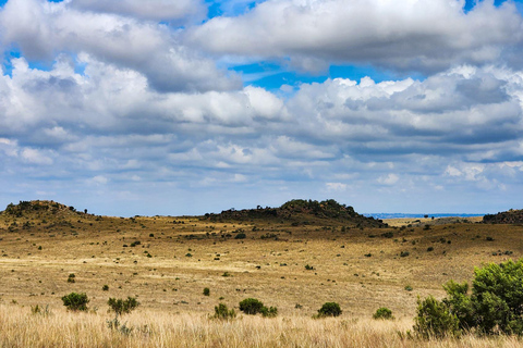 Johannesburg: Cradle of Humankind World Heritage Site TourJohannesburg: Werelderfgoedtour &#039;Cradle of Humankind&#039;