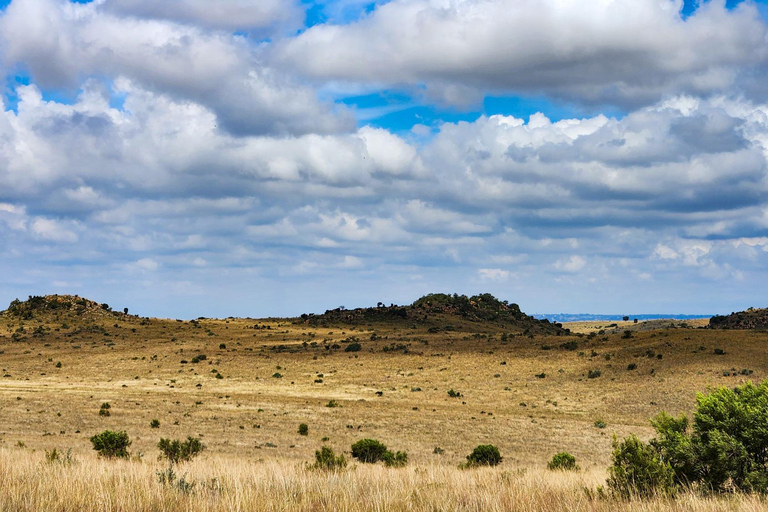 Johannesburg: Cradle of Humankind World Heritage Site TourJohannesburg: Werelderfgoedtour &#039;Cradle of Humankind&#039;