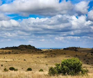 Johannesburg: Cradle of Humankind World Heritage Site Tour