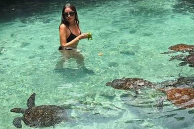 Spice Farm, Jozani Forest Red Colobus Monkeys & Salaam Cave Private Tour with Hotel Transfer (Entry Fees Not Included)