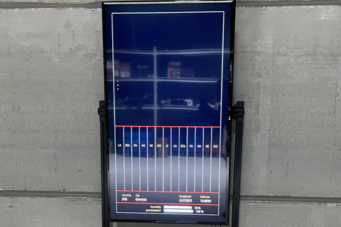 New Art Centre: rondleiding