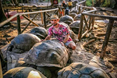 Zanzibar:⭐️Prison Island Guided Tour Meet giant Turtles⭐️ drop-off & pick up from anywhere (entrance fee not included)