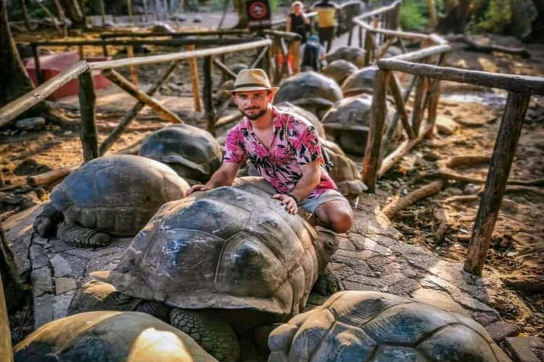 Zanzibar:⭐️Prison Island Guided Tour Meet giant Turtles⭐️ drop-off & pick up from anywhere (entrance fee not included)
