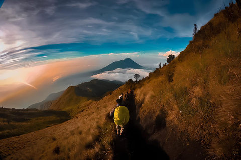 Yogyakarta: Escursione all'alba sul Monte Merbabu - Gita di un giorno intero