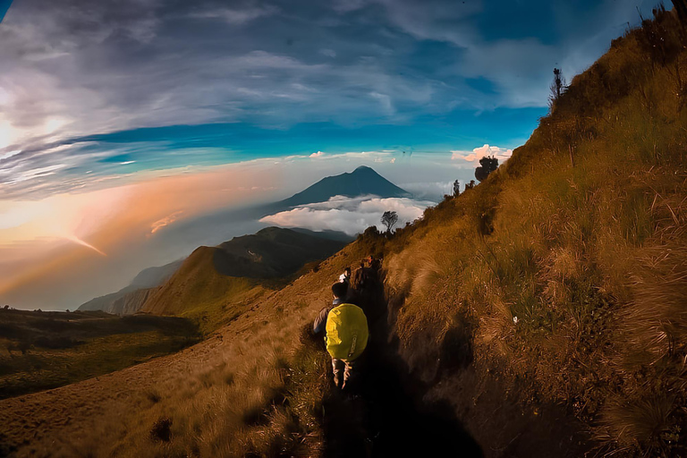 Yogyakarta: Escursione all'alba sul Monte Merbabu - Gita di un giorno intero