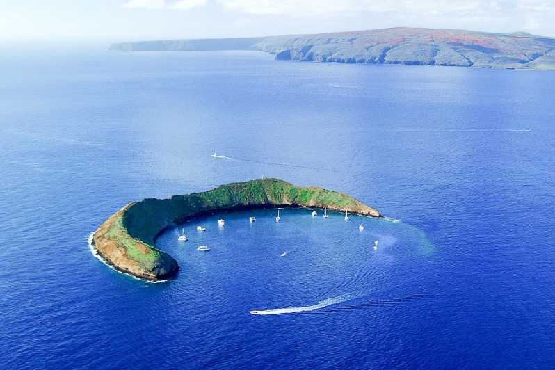 南マウイ：モロキニ島とタートル タウン シュノーケリング ツアー