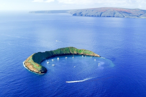 Maui : Molokini et ville des tortues avec repas et plongée
