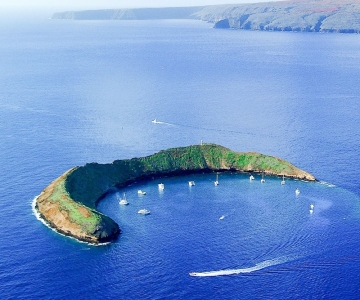 Sør-Maui: Snorkeltur i Molokini og Turtle Town