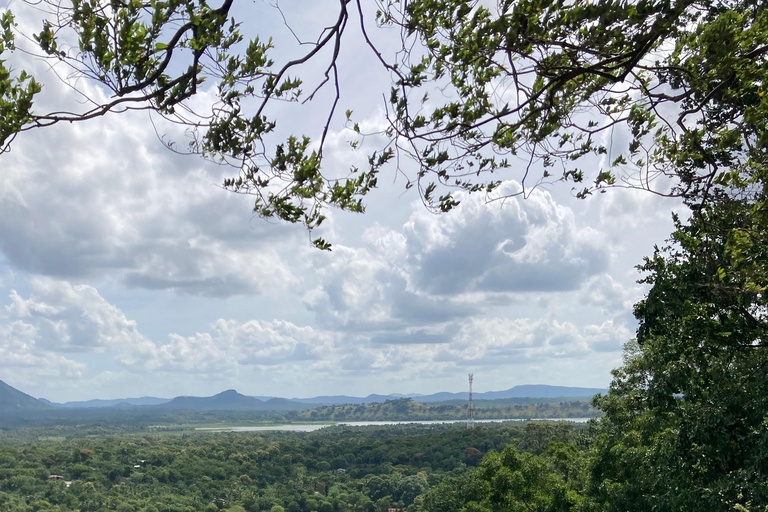 Kandy: Dambulla, Pidurangala Rock, and Cooking Day Trip Sri Lanka : Kandy, Rice Field, Golde Buddha, Village Lunch .
