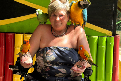 Doctor cave beach one of the best beaches in Montego Bay