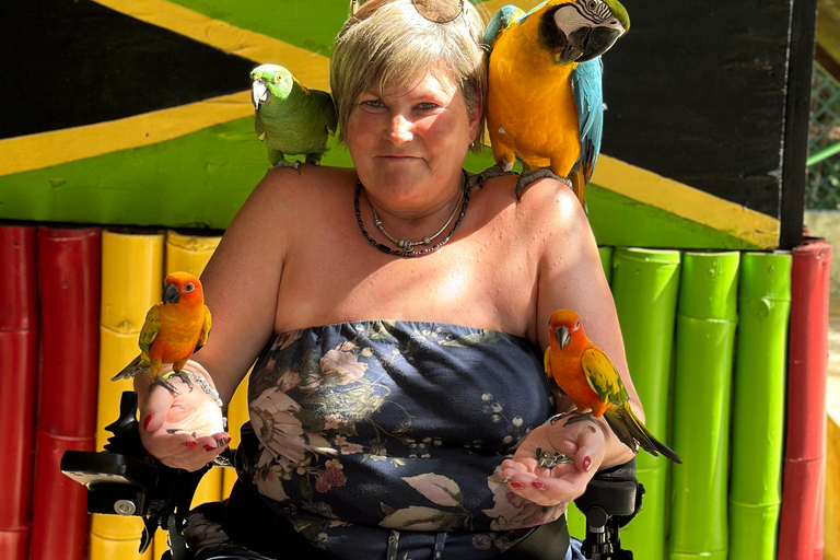 Doctor cave beach one of the best beaches in Montego Bay