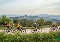 Goriška brda, E-Bike Tour with local guide - Housity
