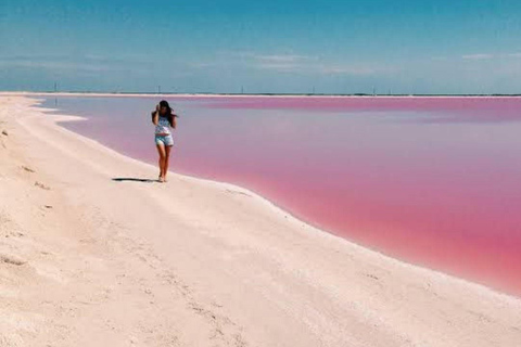 Cancun: Las Coloradas & Rio Lagartos Day Tour & À la carte