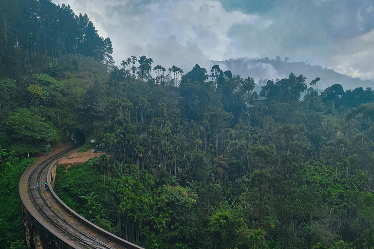 Sri Lanka: 9-Day Honeymoon Tour with Accommodation