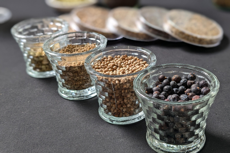 Brussels: Gin Cocktail-Making Workshop with Head Distiller