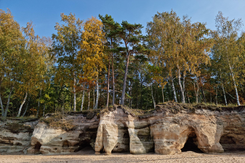 From Riga: Vidzeme Coast Half-Day Trip with Lunch