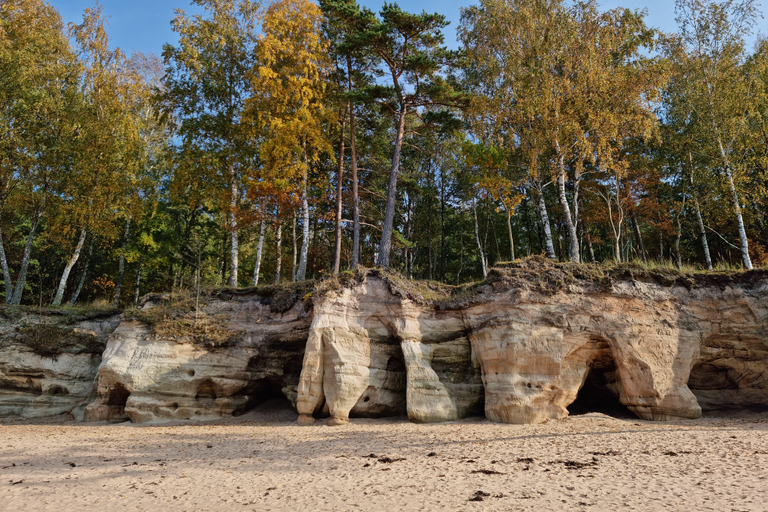 From Riga: Vidzeme Coast Half-Day Trip with Lunch