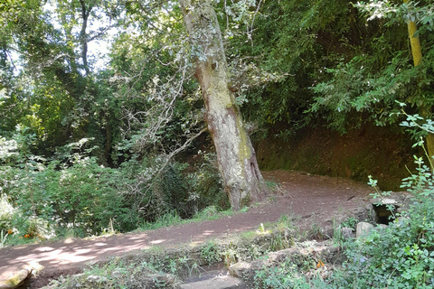 Levada Serra do Faial, Camacha