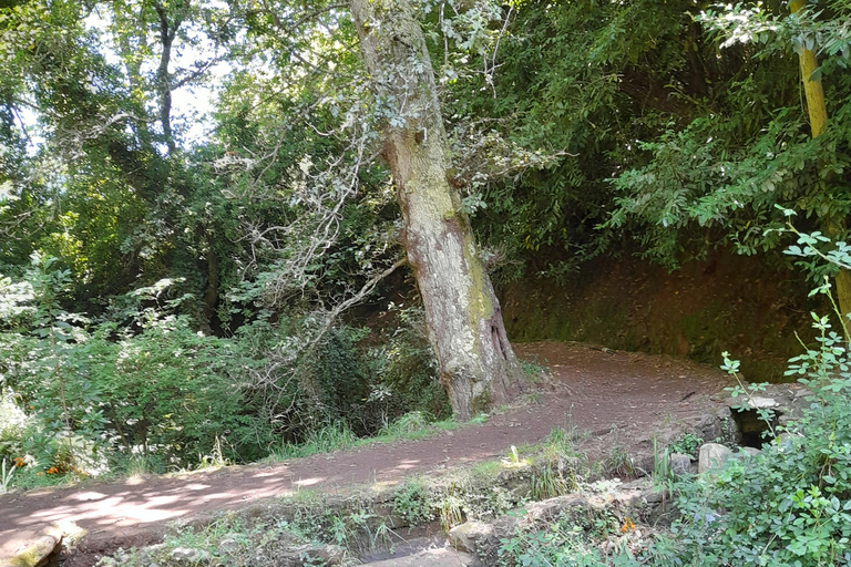 Levada Serra do Faial, Camacha