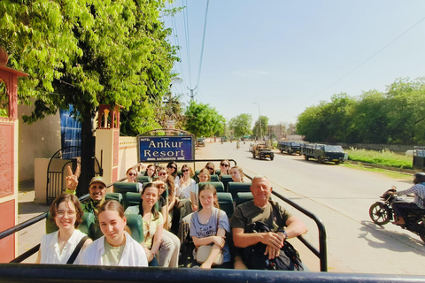 From Delhi: 2 Days 1 Night Ranthambore Tiger Safari Tour 5-Star Hotel, Car, Driver, Guide, 2 Safari & All Meal