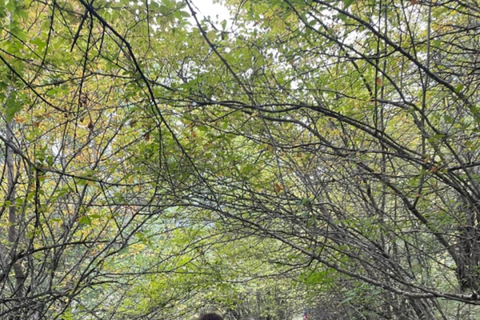 From Baku: Guba Region Guided Hiking Tour with Transfer