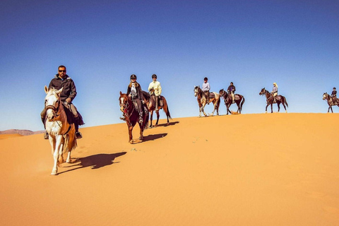 Tour de Doha à cheval : Visite du Majlis local