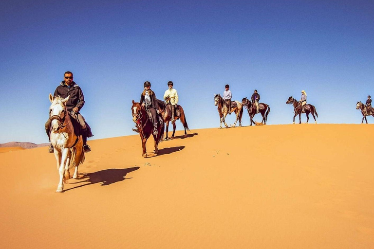 Tour de Doha à cheval : Visite du Majlis local