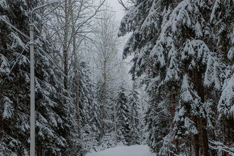 斯德哥尔摩：越野滑雪入门