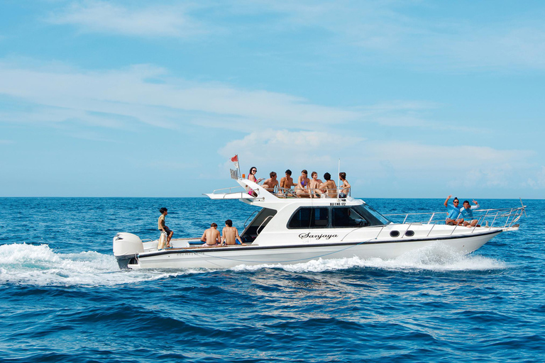 From Bali: Nusa Penida Private Snorkeling Tour with Lunch Shared Boat Trip with Meeting Point at Sanur