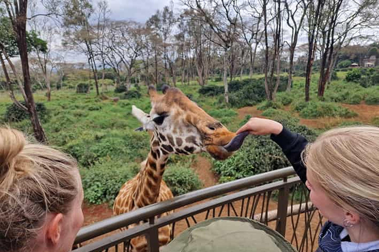 Aluga um guia local para uma experiência de turismo em Mombaça.