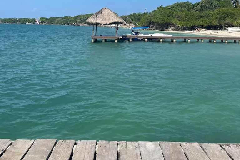 Cartagena: Sol y Papaya Beachclub - Daytour in Isla Grande!