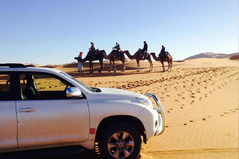 Marrakech or Fes: 4-Day Desert Tour to Erg Chebbi Dunes 4D3N Desert Tour Fez to Marrakech (Luxury Accommodations)