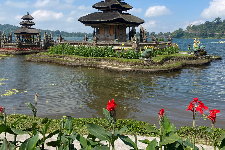 Bali: Foresta delle Scimmie di Sangeh, cascata e tour del tempioBali: tour della foresta delle scimmie di Sangeh, cascata e tempio