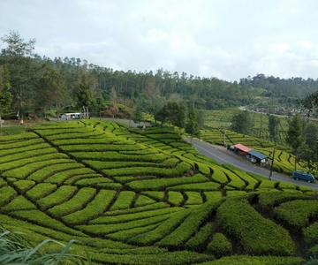 Day Trip White Crater Ciwidey Bandung All In - Tour Guide