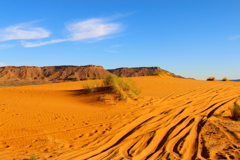 4 Tage Privat Agadir Ait Mansour-Übernachtung im Luxus-Camp