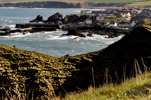 Small Group | Holy Island, St Abbs & Bamburgh Full-Day Tour