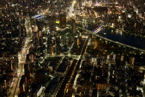 Tokyo: Luxury Private Full-Day City Tour by Alphard Luxury Alphard