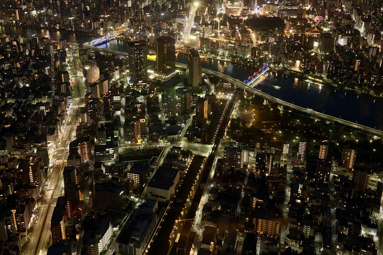 Tokyo: Luxury Private Full-Day City Tour by Alphard Luxury Alphard