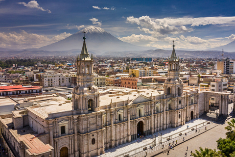 From Arequipa: Colca Canyon and Andean Wildlife Day Trip